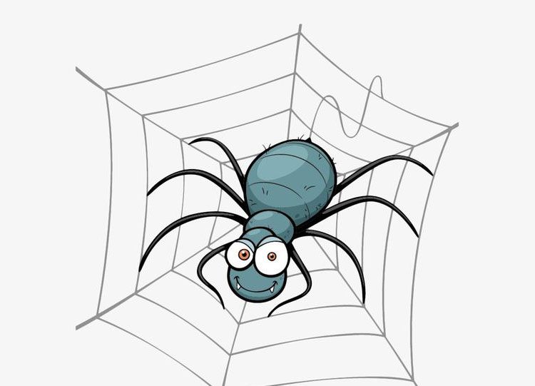蜘蛛的网