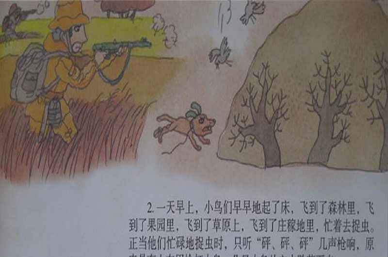 中班故事｜鸟类大罢工