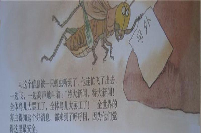 中班故事｜鸟类大罢工