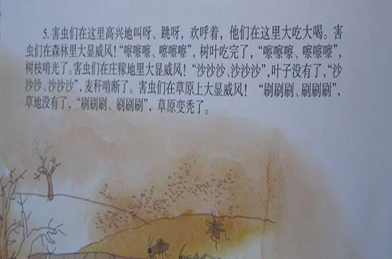 中班故事｜鸟类大罢工