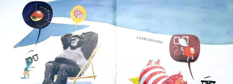 弄丢了壳的小乌龟