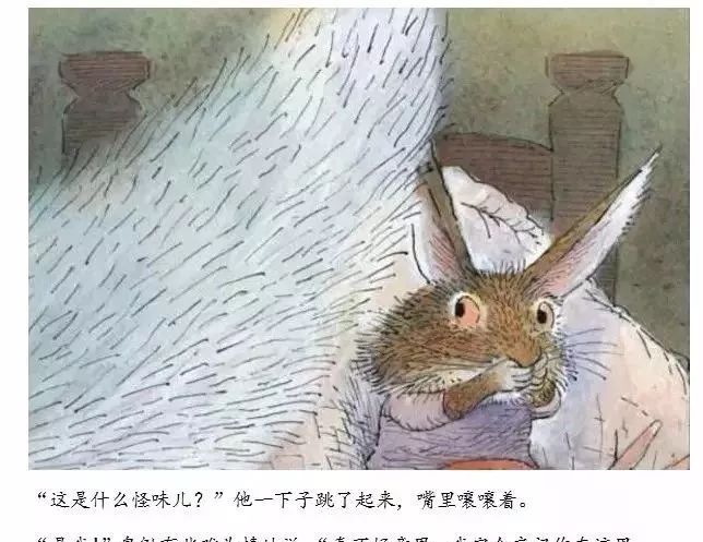 小兔温尼想换个地方睡觉