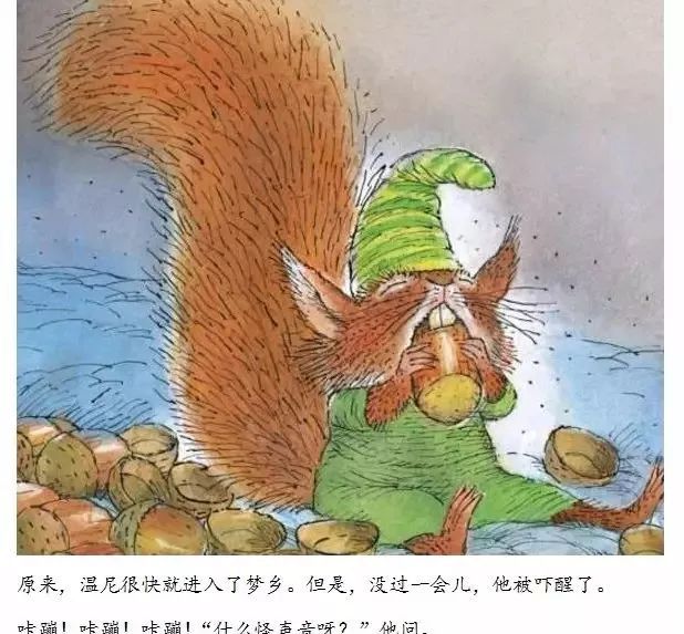 小兔温尼想换个地方睡觉