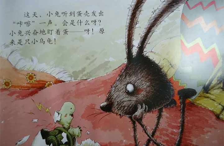 小兔孵蛋