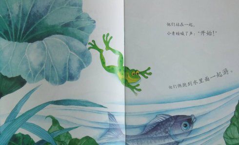 小青蛙与小鲤鱼