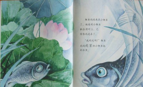 小青蛙与小鲤鱼
