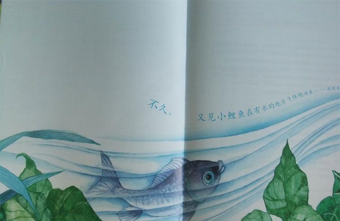 小青蛙与小鲤鱼