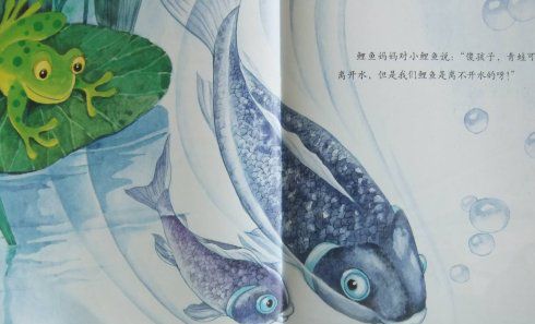 小青蛙与小鲤鱼
