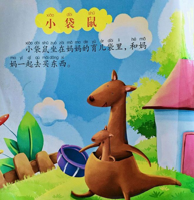 小袋鼠