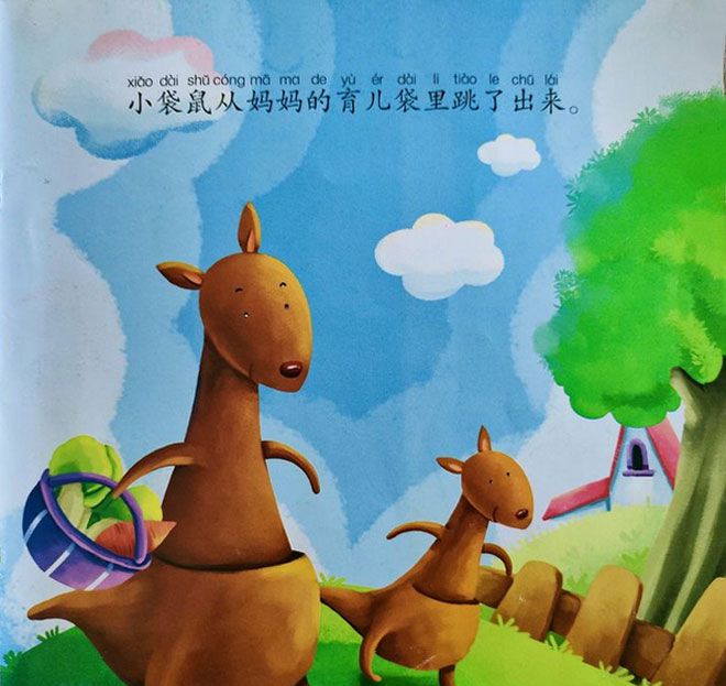 小袋鼠