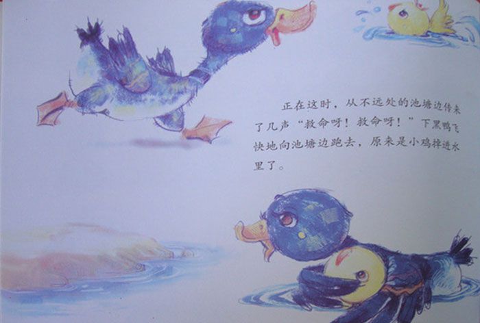 小黑鸭