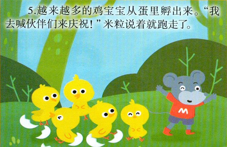 鸡宝宝出生了