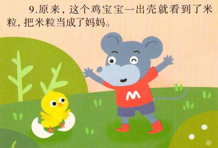 鸡宝宝出生了
