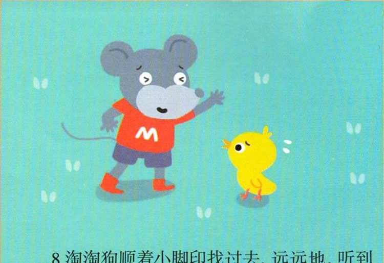 鸡宝宝出生了