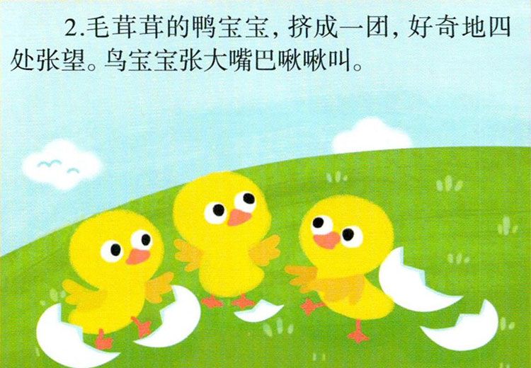 鸡宝宝出生了
