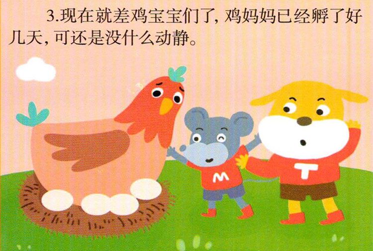 鸡宝宝出生了