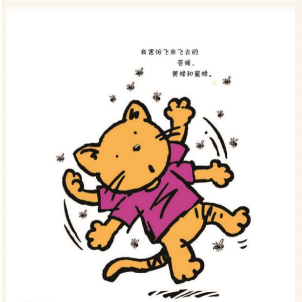 胆小的猫咪