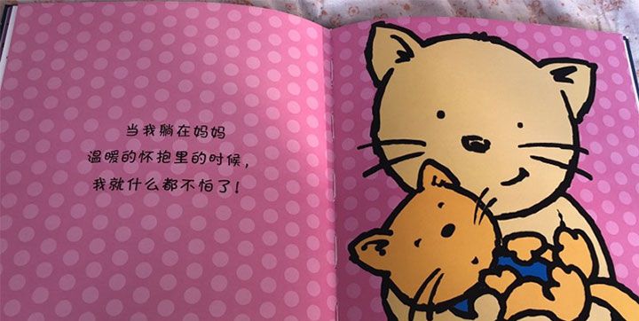 胆小的猫咪