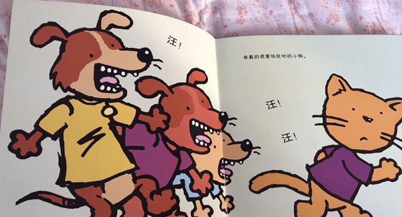 胆小的猫咪