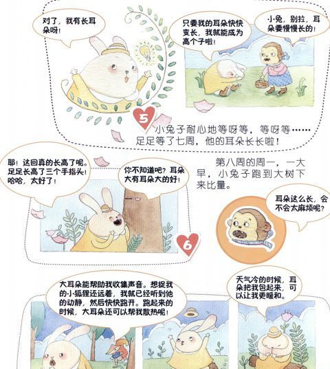 小兔子的长耳朵