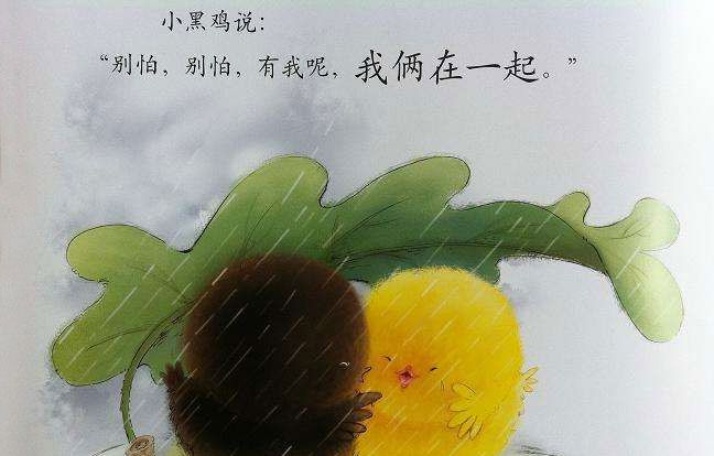 小黄鸡和小黑鸡