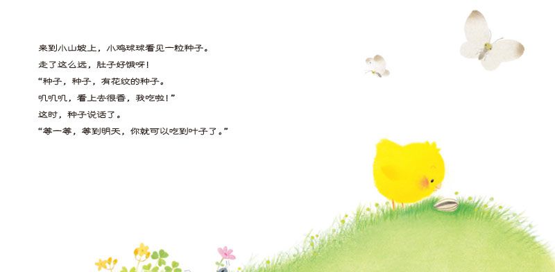 小鸡球球和向日葵
