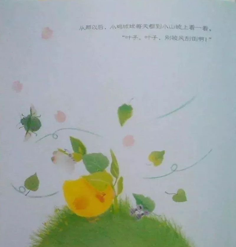 小鸡球球和向日葵