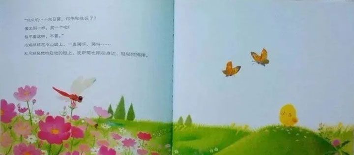 小鸡球球和向日葵