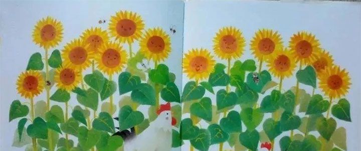 小鸡球球和向日葵