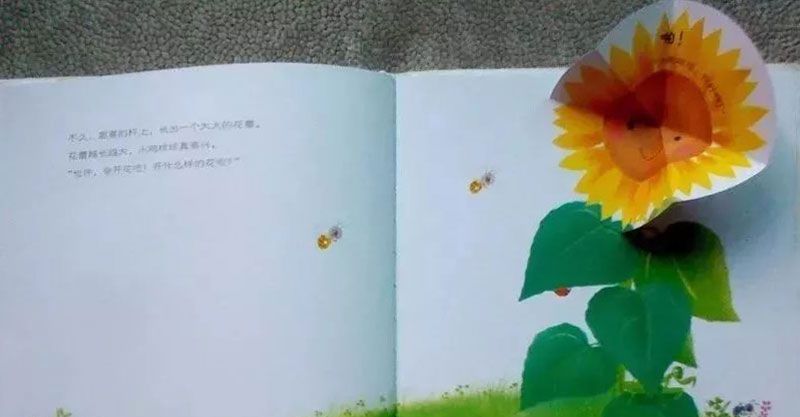 小鸡球球和向日葵
