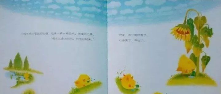 小鸡球球和向日葵