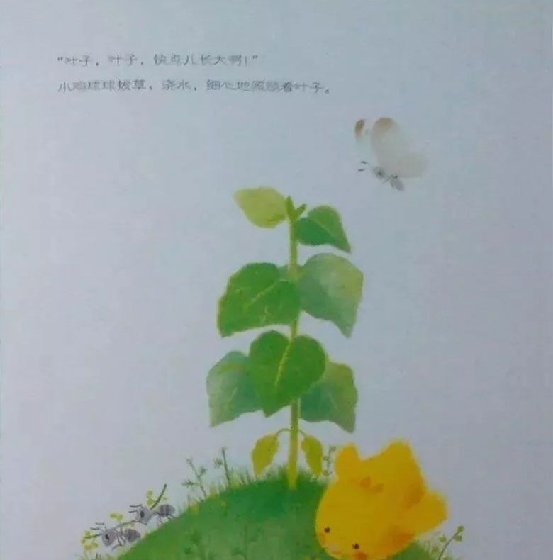 小鸡球球和向日葵