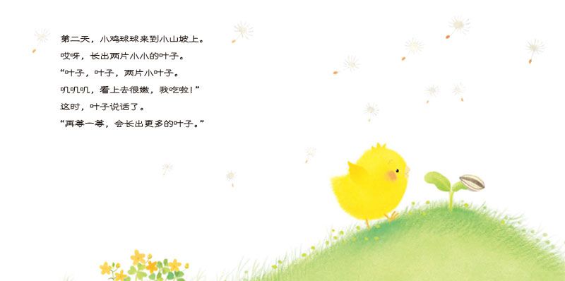 小鸡球球和向日葵
