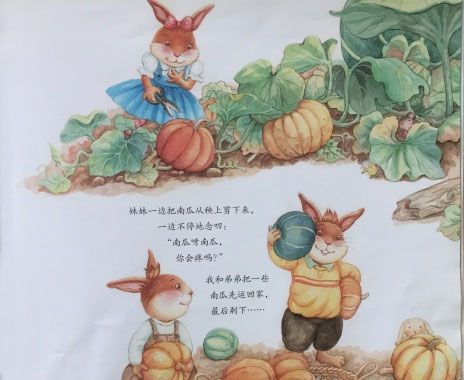 妹妹的大南瓜