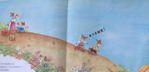 妹妹的大南瓜