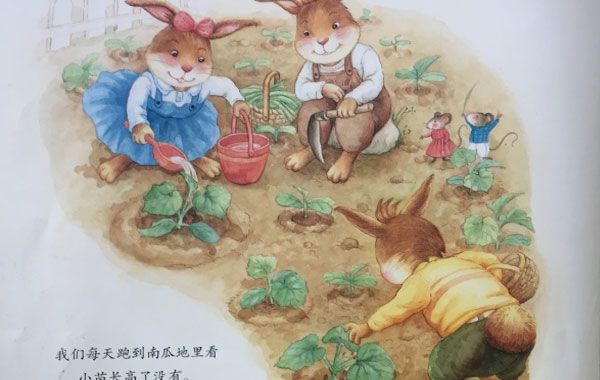 妹妹的大南瓜