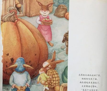 妹妹的大南瓜