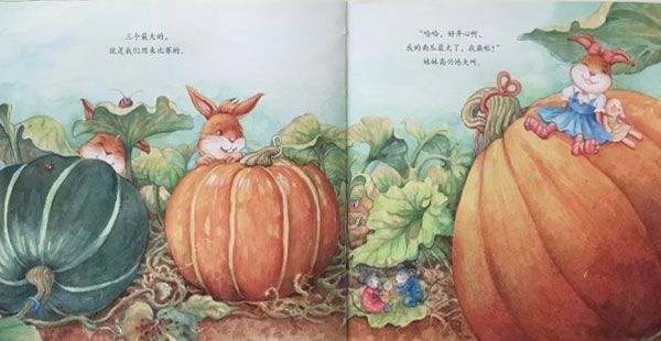 妹妹的大南瓜