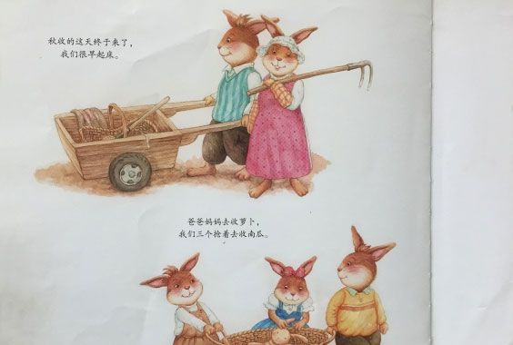妹妹的大南瓜