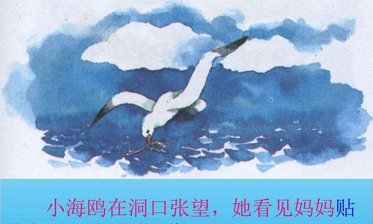 海上气象员