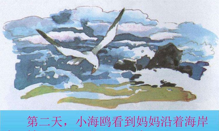海上气象员