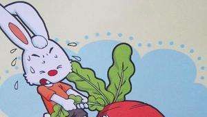 不懂分享的兔子