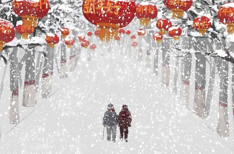 新年的雪花