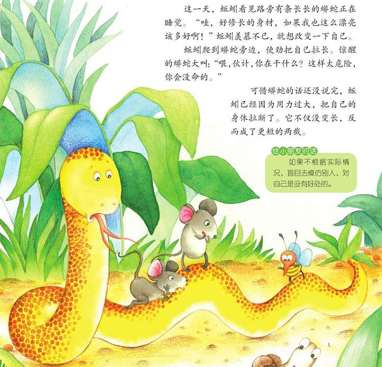蚯蚓和蟒蛇