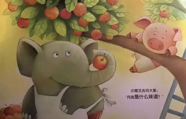 月亮是什么味道