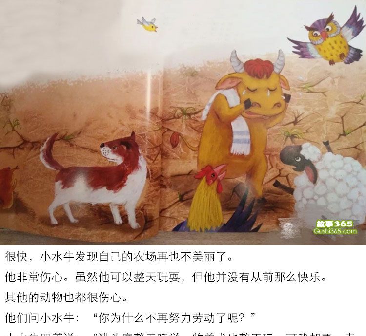 小水牛更勤奋了