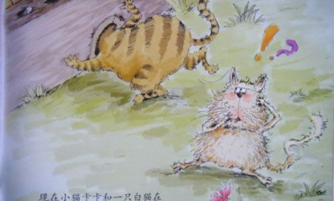 狮子卡卡