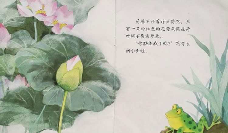 小青蛙与荷花（学会等待）