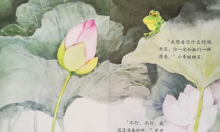 小青蛙与荷花（学会等待）