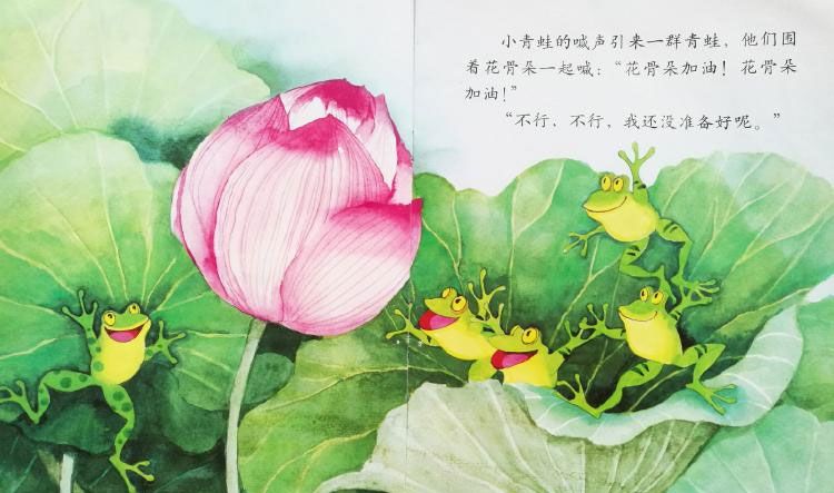 小青蛙与荷花（学会等待）